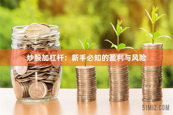 炒股加杠杆：新手必知的盈利与风险